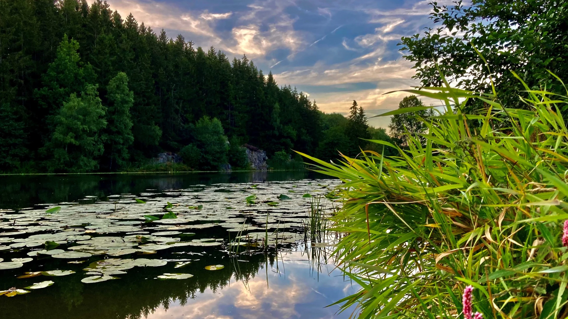 Borgedalssøen på Bornholm