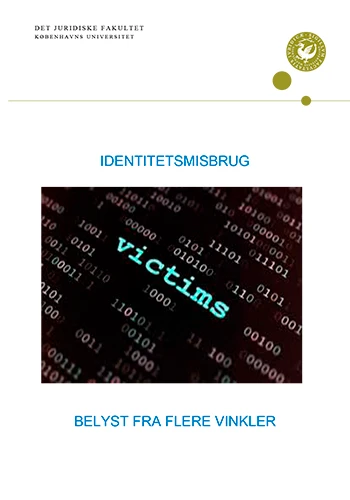 Rapporten 'Identitetsmisbrug' belyst fra flere vinkler