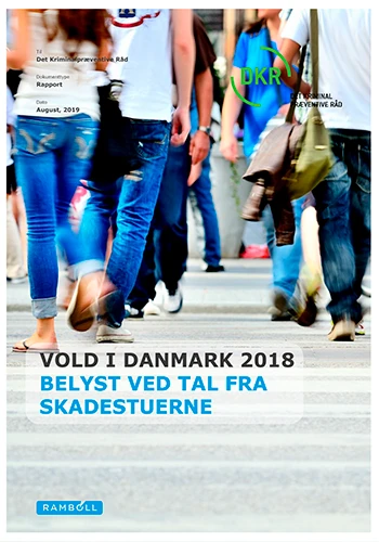 Rapport: Vold i Danmark 2018