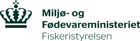 FST logo