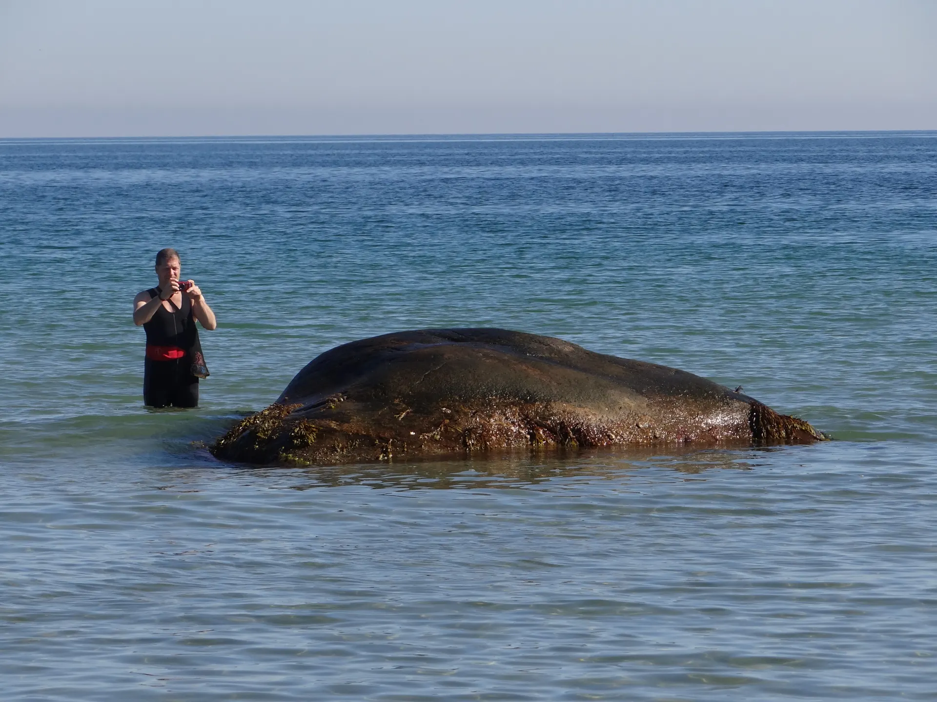 Banstenen og Henrik Granat