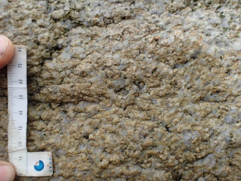 Aarøstenen tæt på