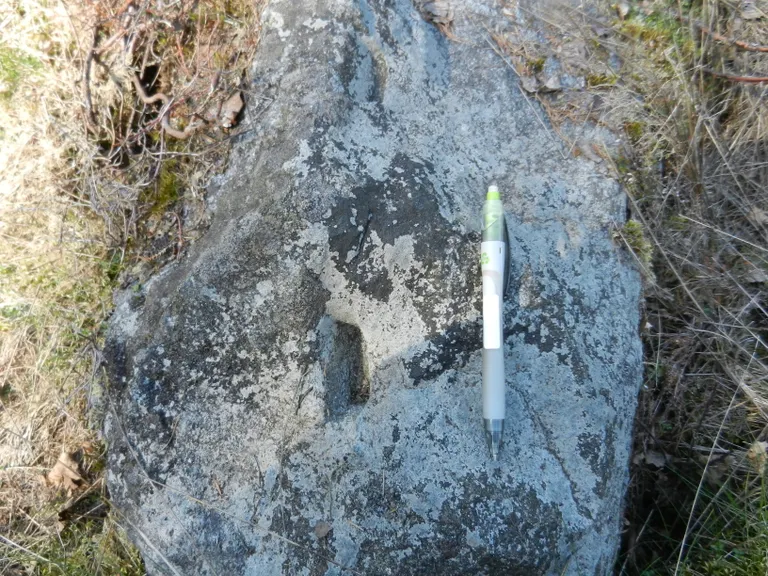 Stævnstenen tæt på 