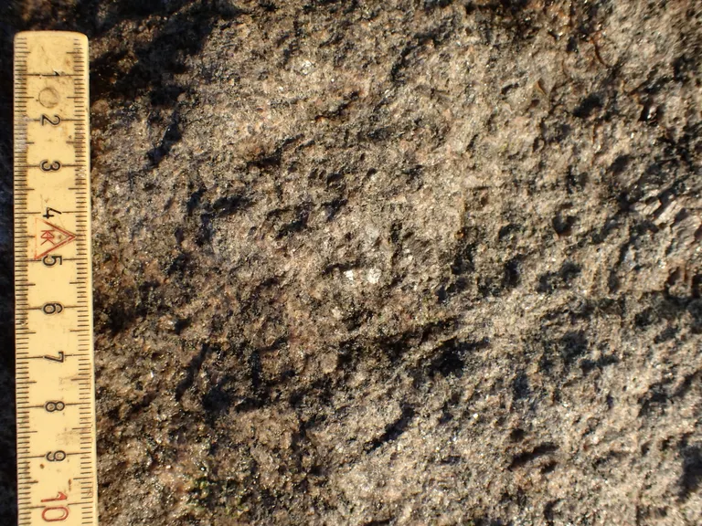 Kæmpesten Grevinge tæt på