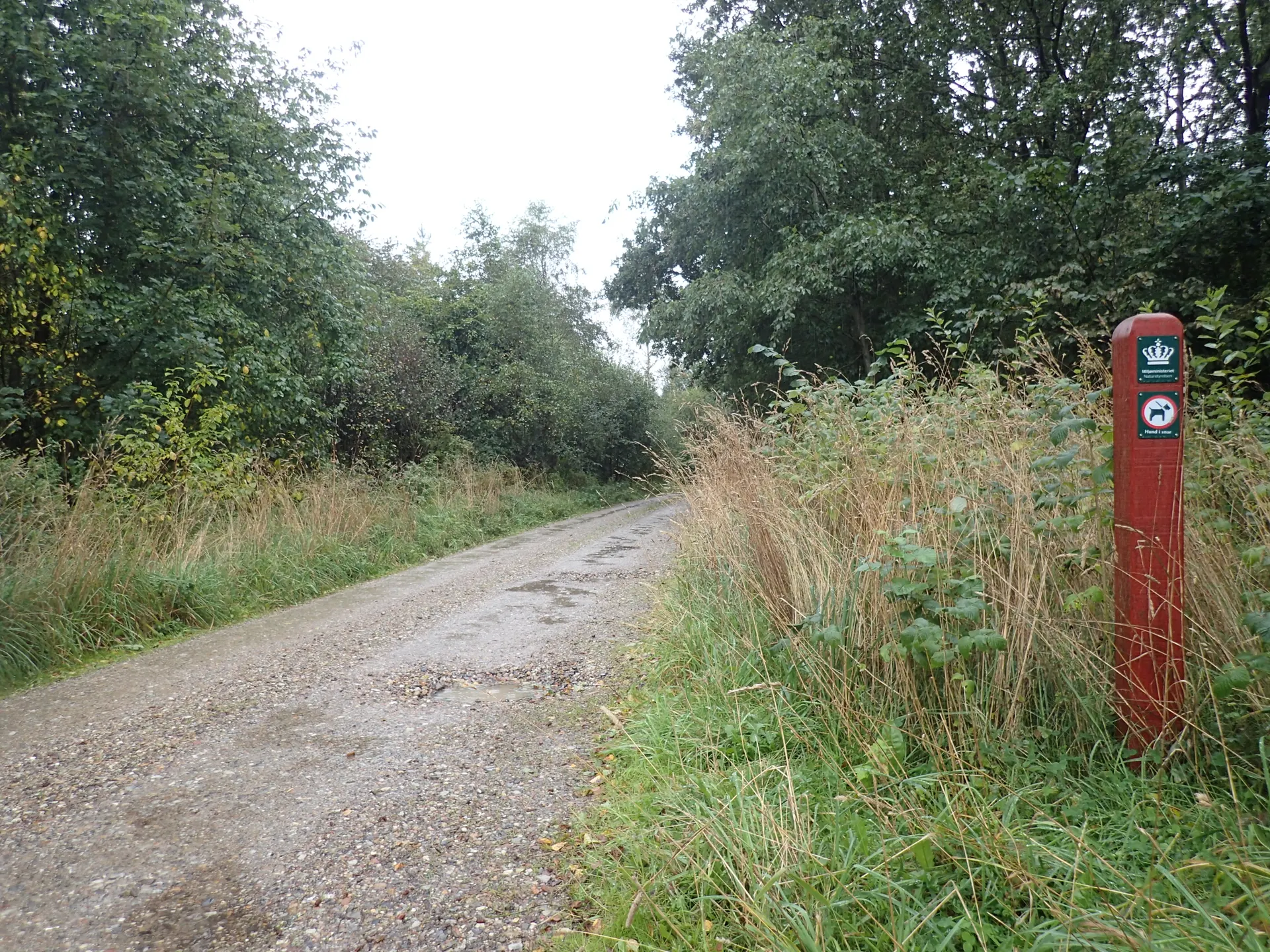 Grussti til Årtusindstenen