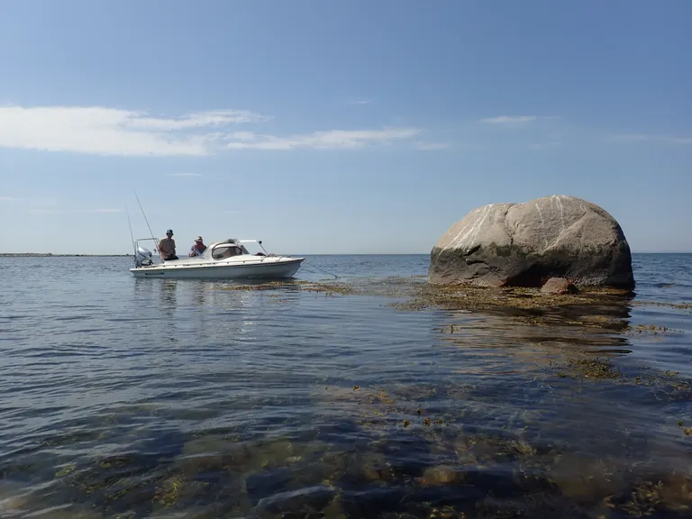Blak i vandet og en båd ved siden af