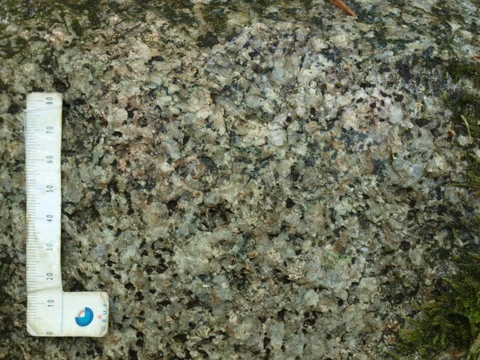 Ferslevstenen tæt på, geologisk billede