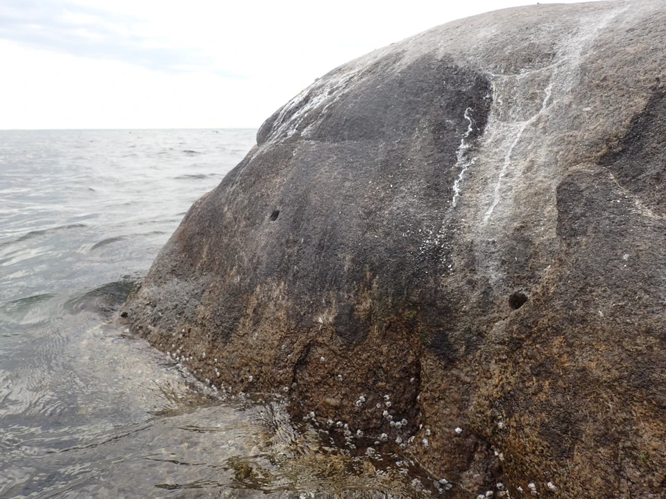 Bredestenen tættere på