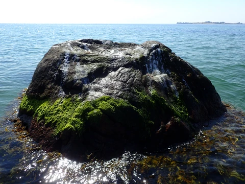 Skarpensten tættere på