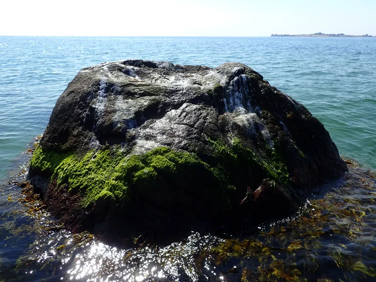 Skarpensten tættere på