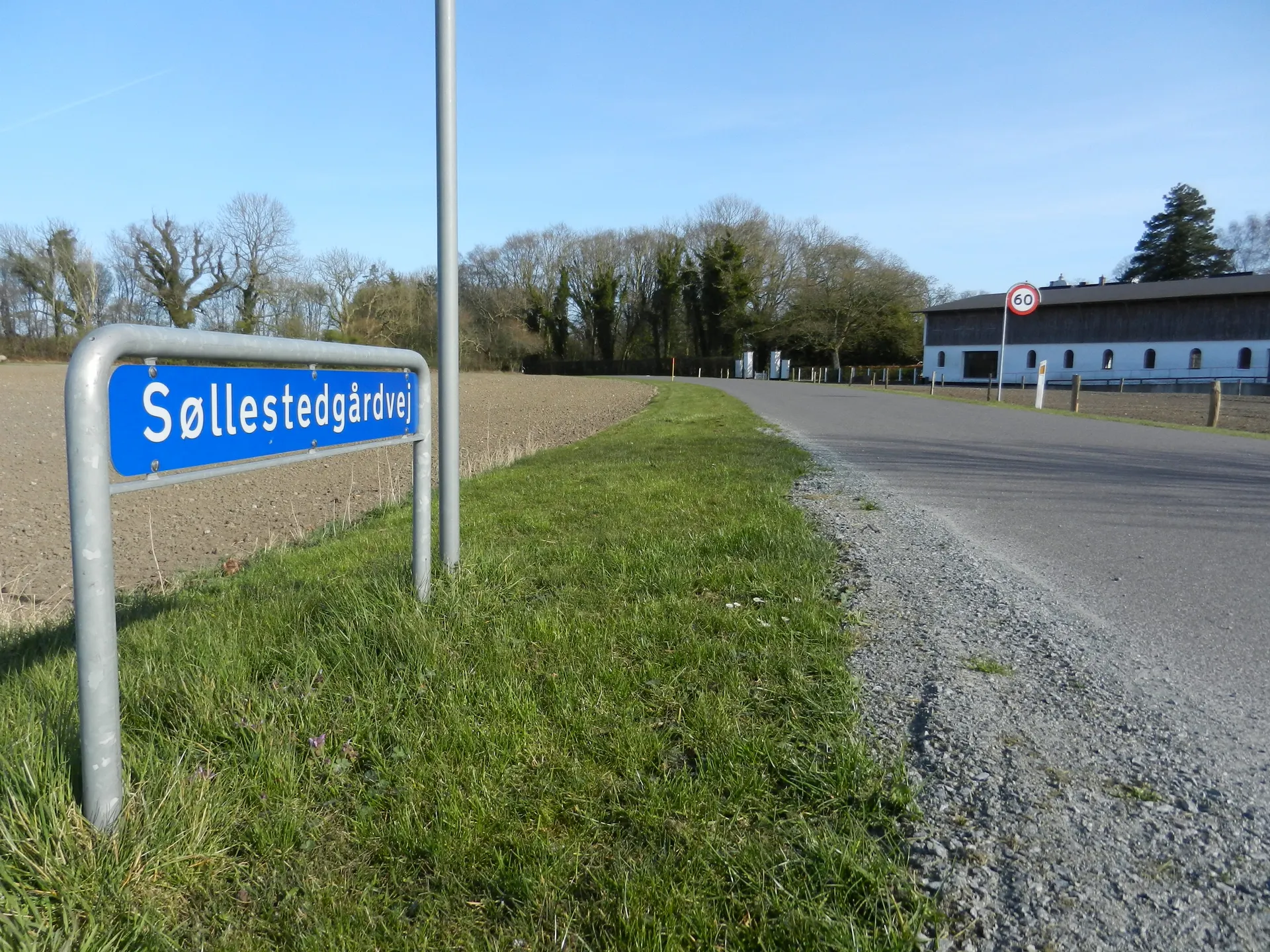 Find vej til Søllestedgårdstenen