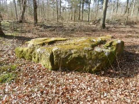 Søllestedgårdstenen