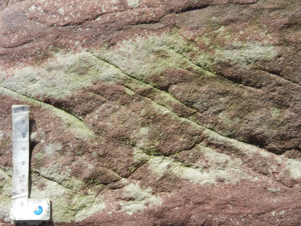 Gedser Odde Stenen tæt på