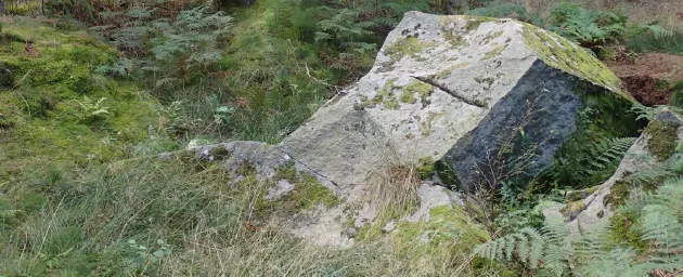 Kæmpesten Klosterskoven cover billede