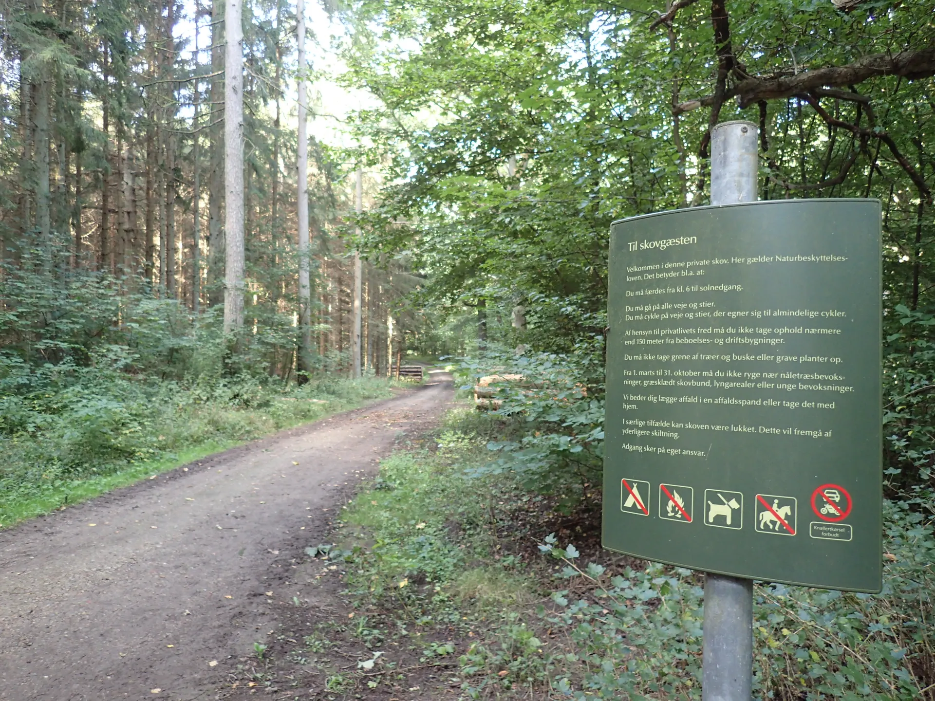 Vej til Kæmpesten Klosterskoven