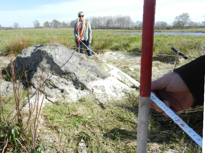 Døvlingstenens højde bliver målt