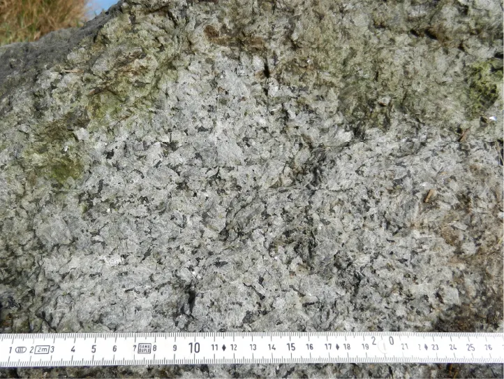 Døvlingstenens bjergarter