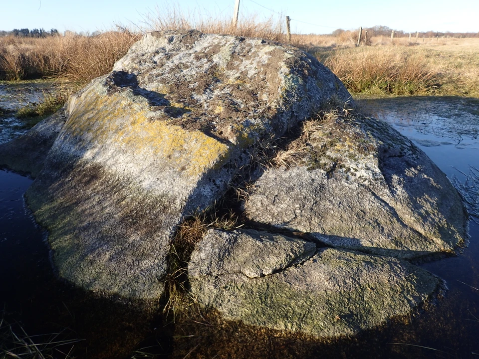 Døvlingstenen tæt på