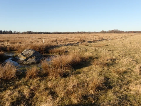 Området om Døvlingstenen