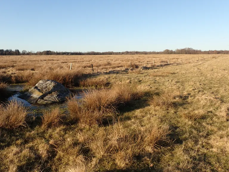 Området om Døvlingstenen