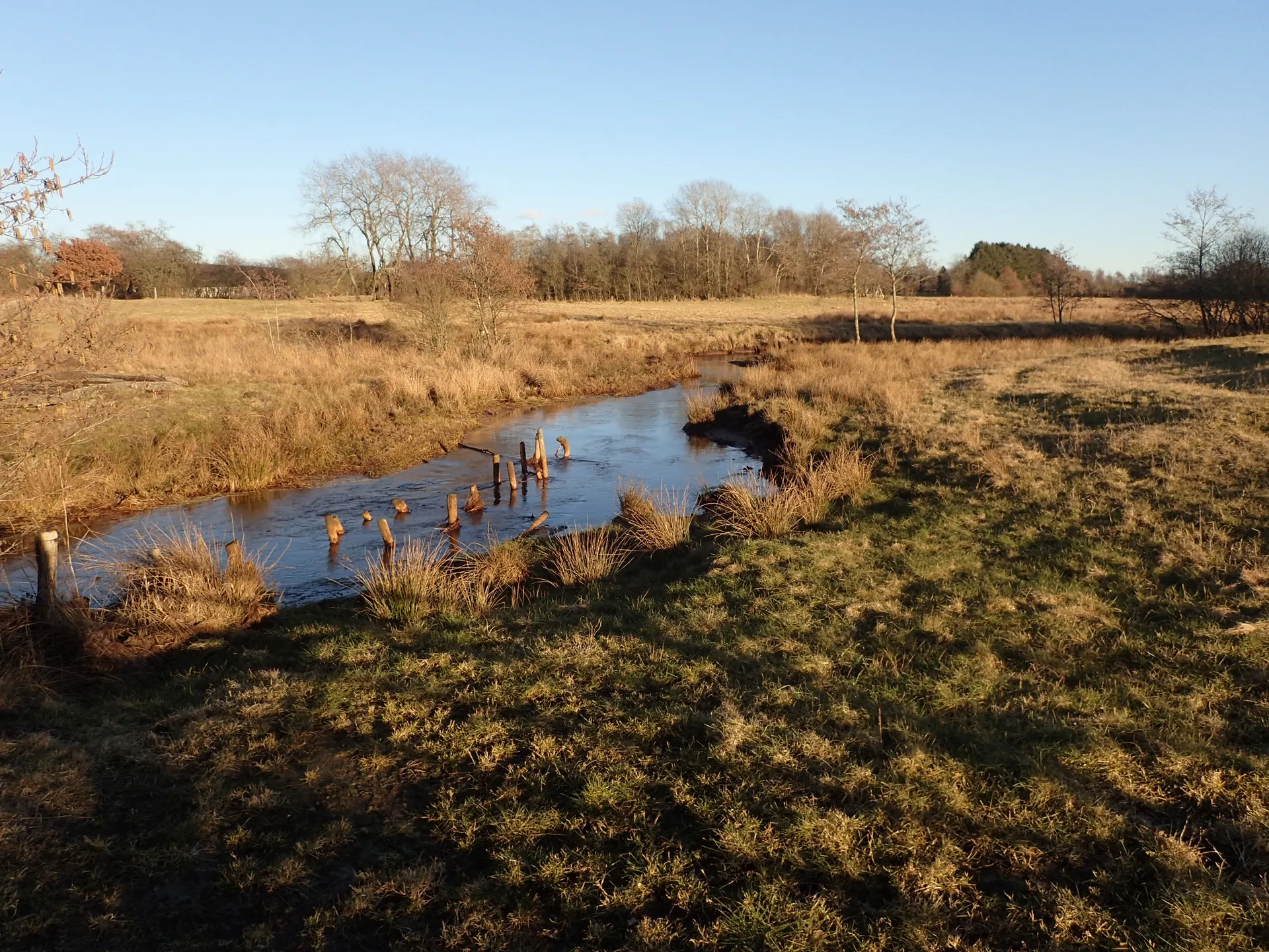 Vejen til Døvlingstenen
