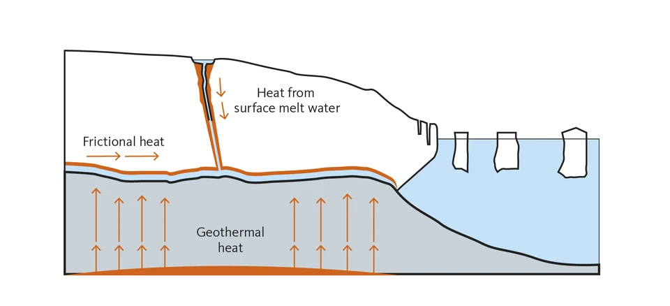 Basal melt