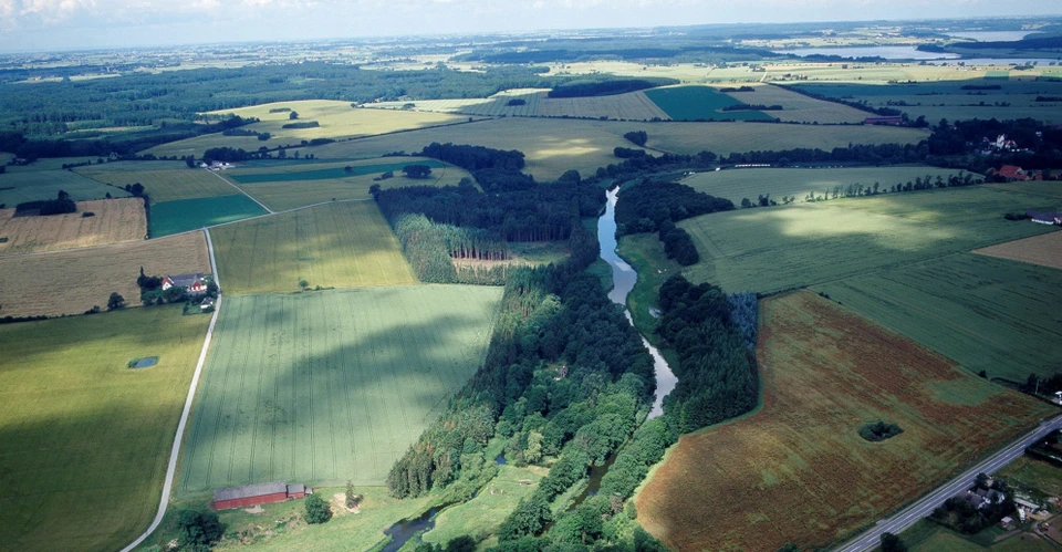 Mapfield
