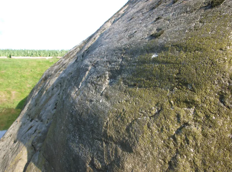  Skurestriber anes på den delvist lavbevoksede nordside