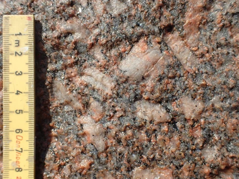 Store Rønstens sammensætning