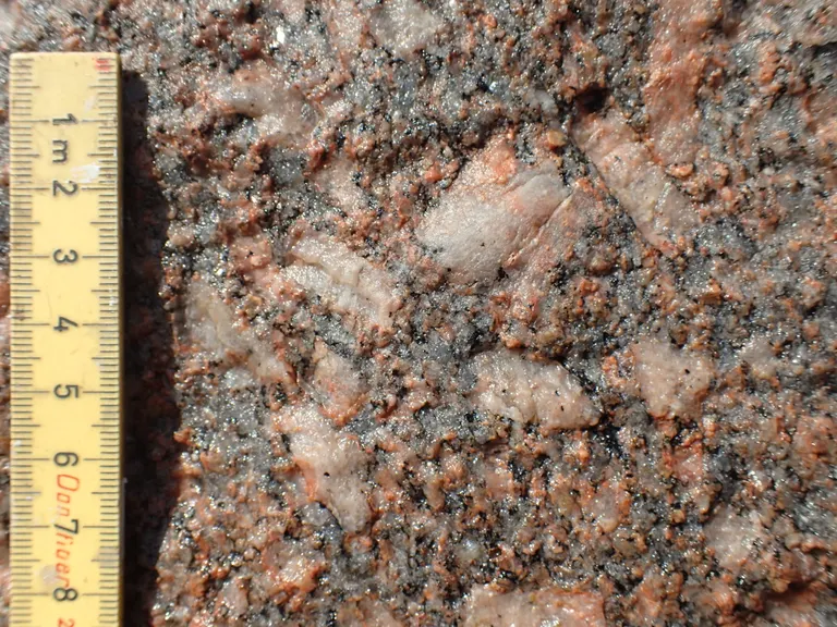 Store Rønstens sammensætning