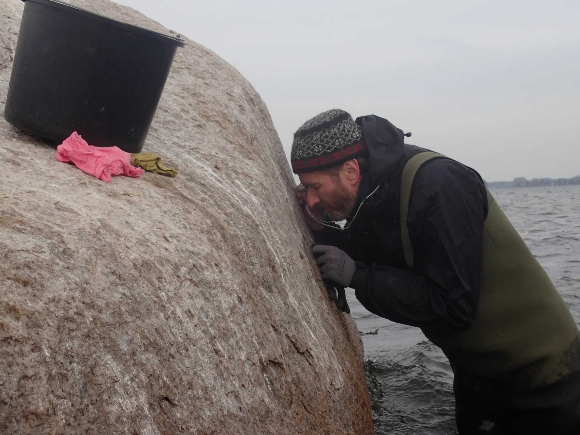 Nær undersøgelse af den hvide mær