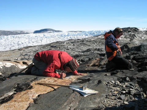 Feltarbejde i Sydgrønland
