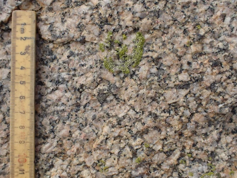 Skildpaddestenens bjergarter