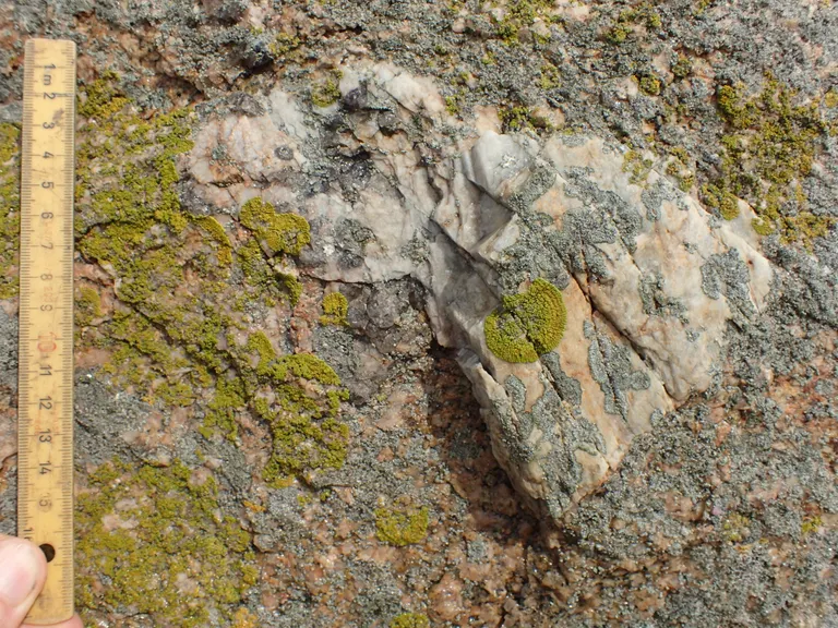 Fremmedlegeme på Skildpaddestenen