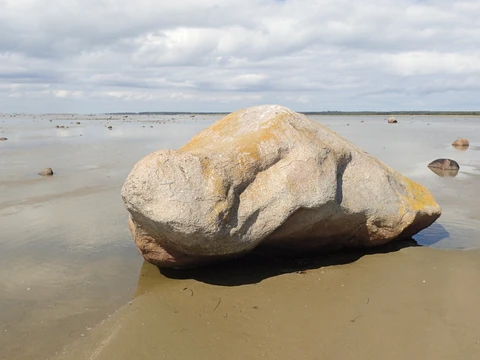 Skildpaddestenen tæt på