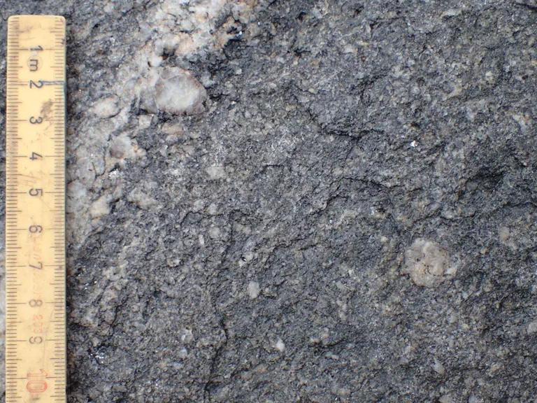 Havbænkens bjergarter