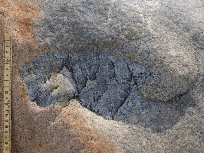 Fiskeøje lignende formatering