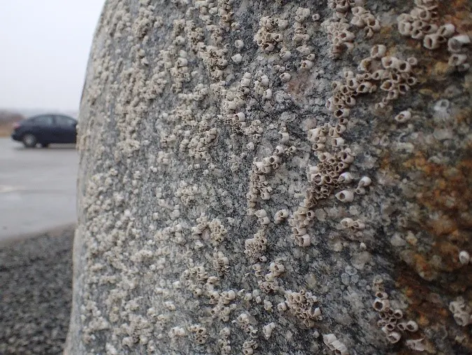 Rurer på siden af Lille Tunnelsten