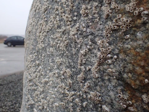 Rurer på siden af Lille Tunnelsten