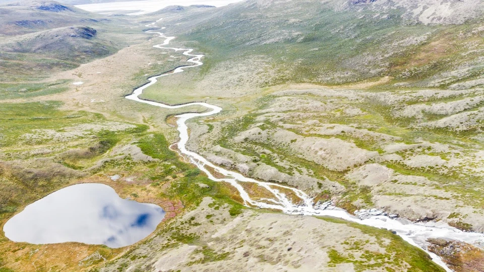 Et mestendels grønt og brunligt landskab med en sø og en snoet år ses. Det er lettere kupperet.