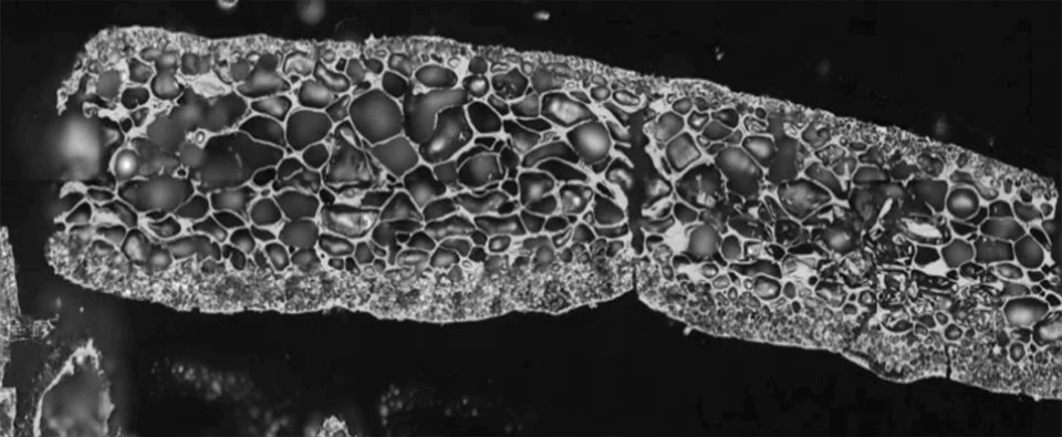 Inertinit-komponent fra biokul set i mikroskop