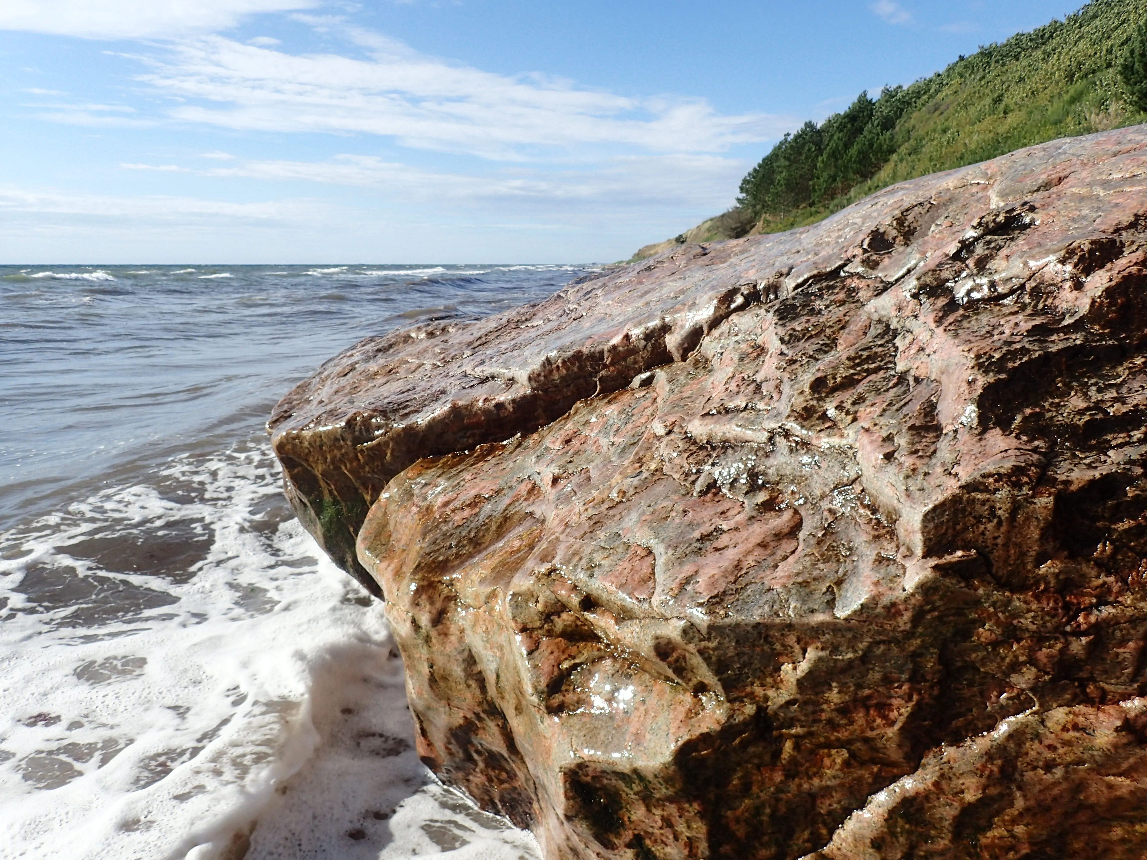 Havknudestenen ved havet