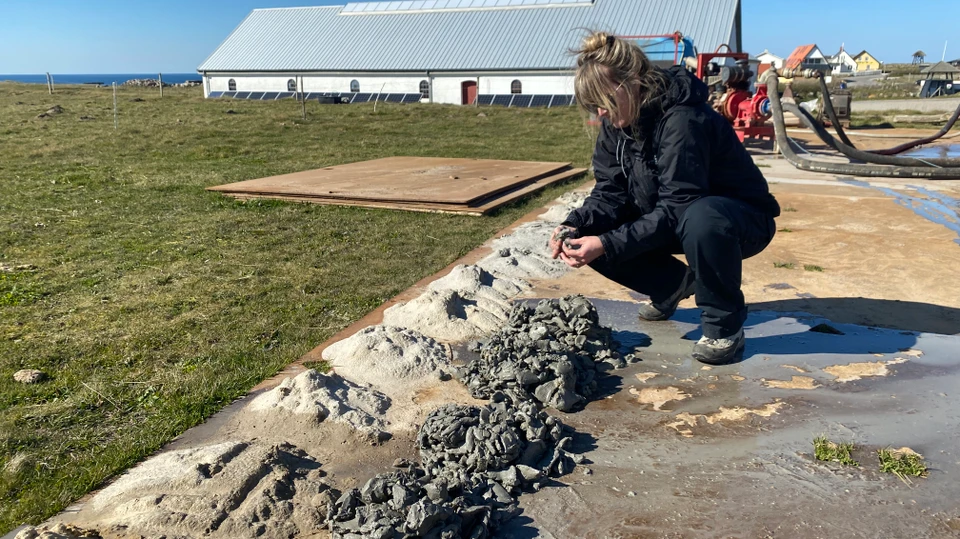 Rækker af klatter med mudder ligger på beton. Et menneske knæler ved en bunke mudder for enden. I baggrunden ses en stor bygning.