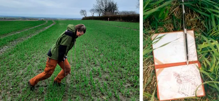 Jordartskortlægning