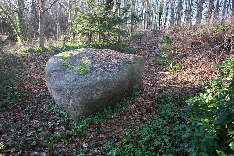 Dalumstenen i skovbunden