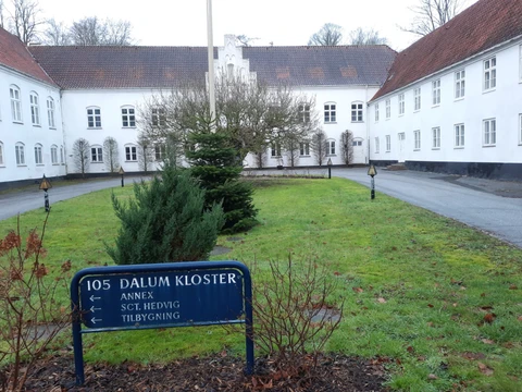 Dalum koster ved Dalumstenen