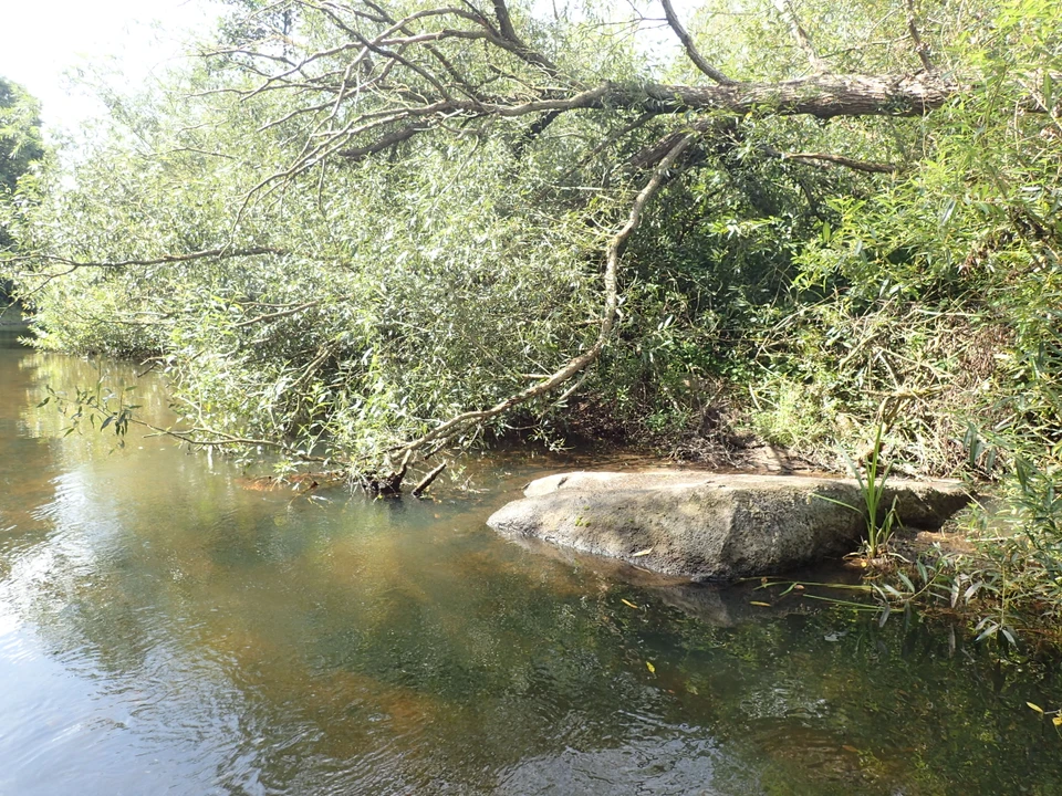Stor sten ved Dalumstenen