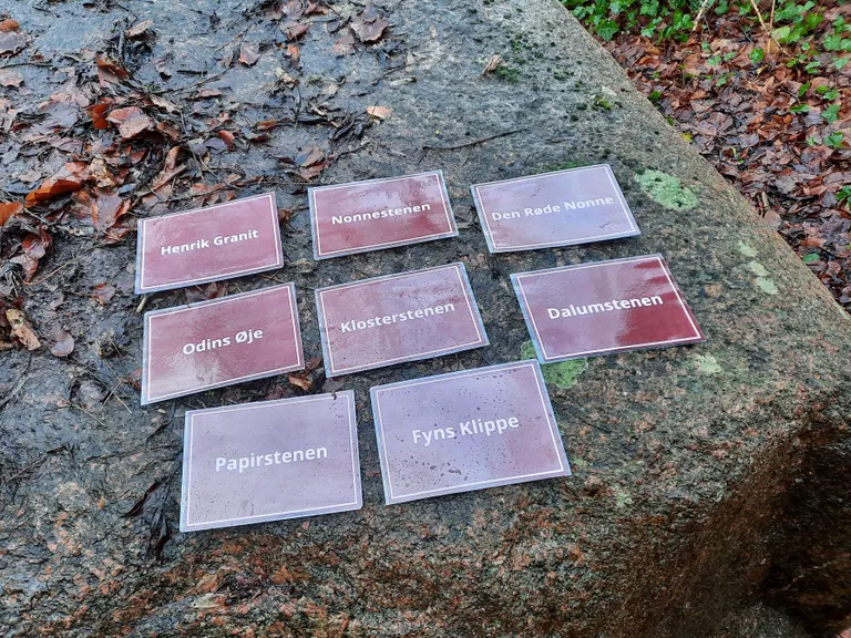 Navneforslagene til Dalumstenen