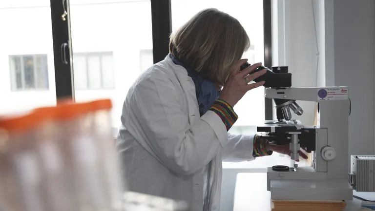 Laboratorie på GEUS