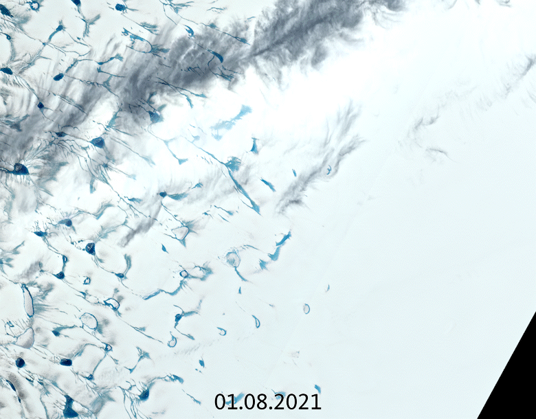 animation